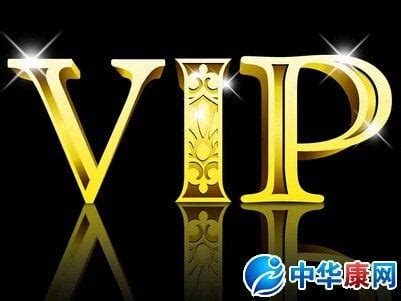 vip 意思|VIP